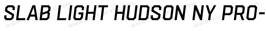 Slab Light Hudson NY Pro字体转换
